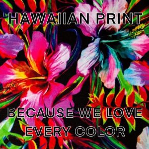 A 2020 libertarian meme referencing Hawaiian print imagery circulated during the Jorgensen/Cohen campaign. Image provided by the author.
